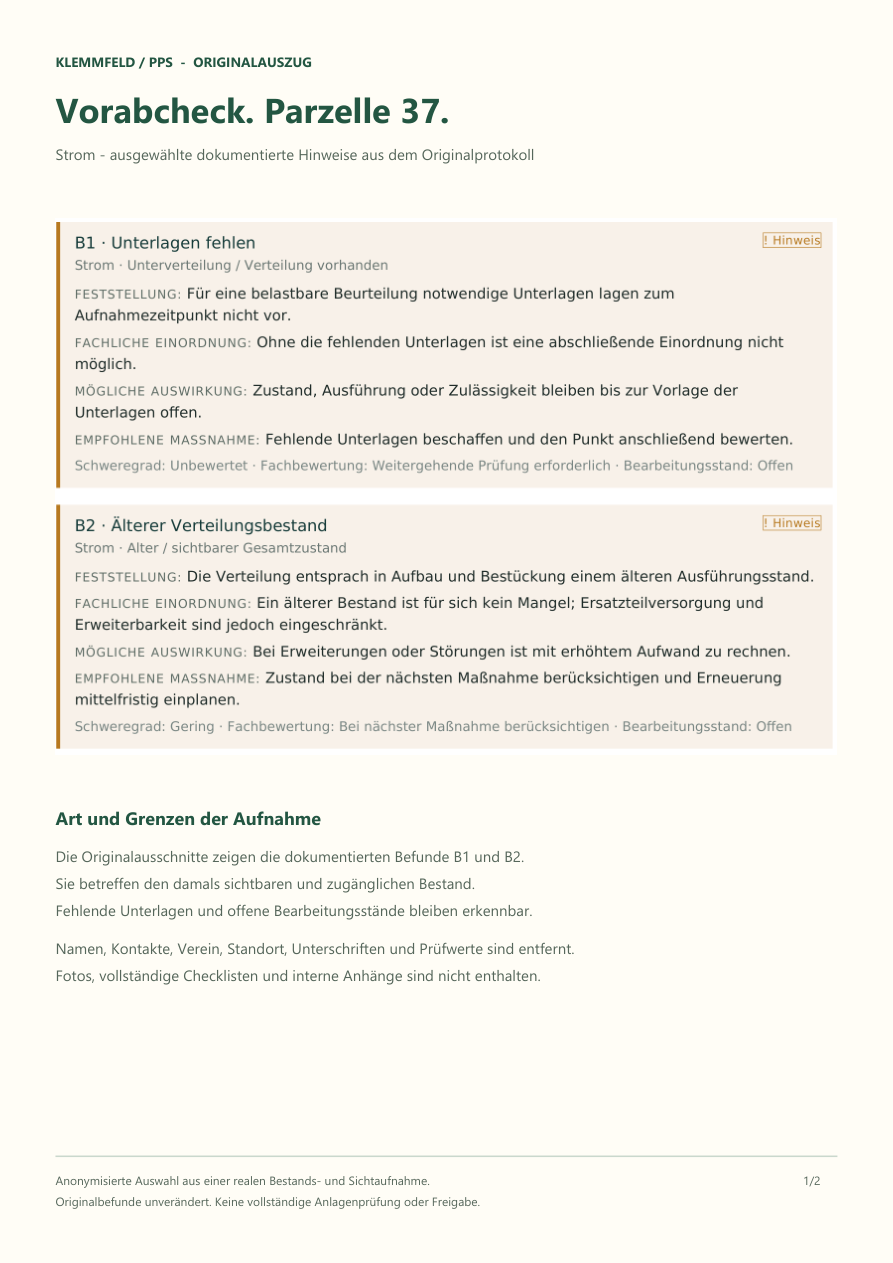 Vorschau des anonymisierten Beispielauszugs Original-Vorabcheck